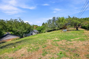 View From Upper Yard