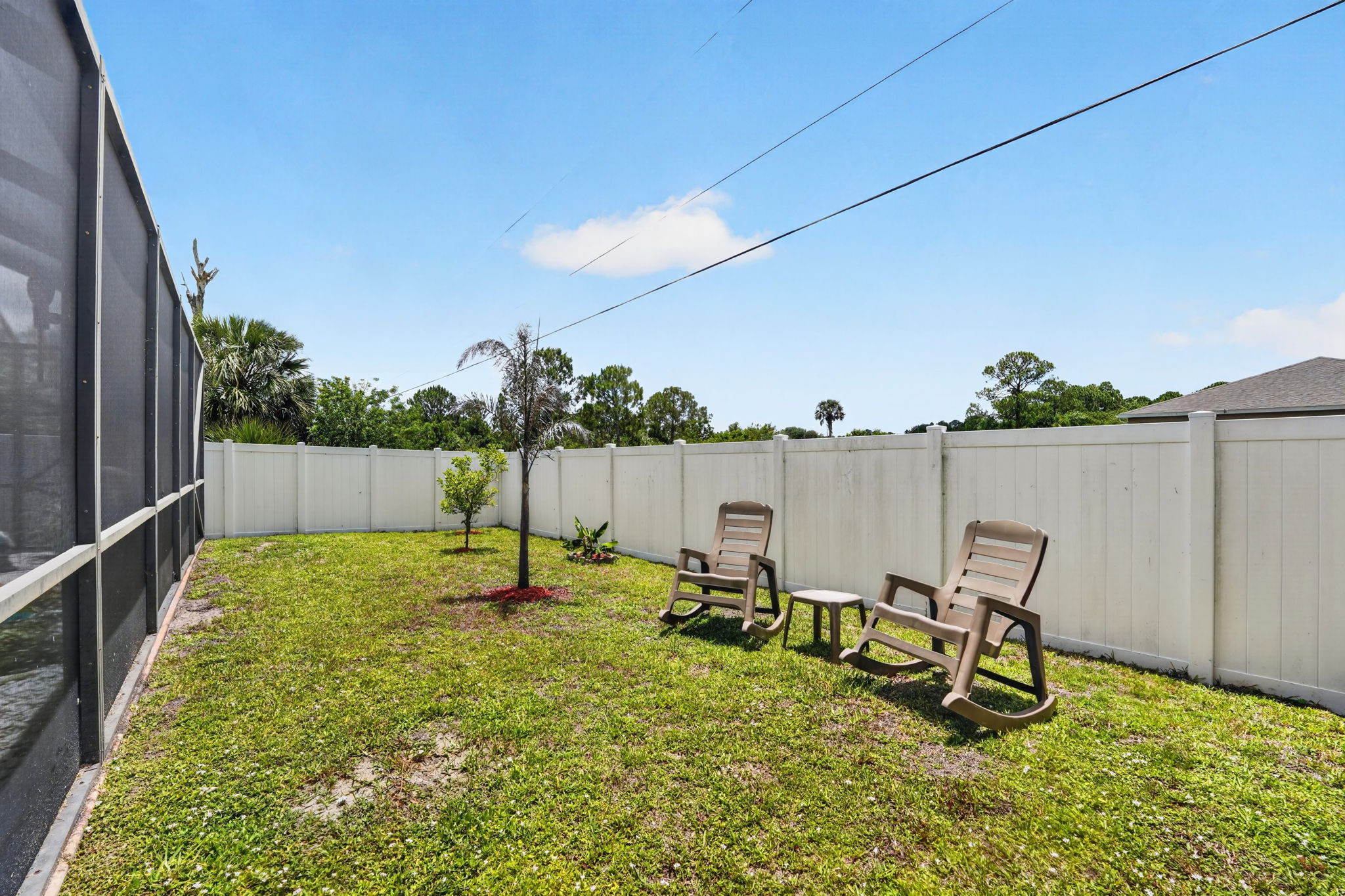 Backyard
