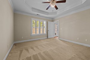 Primary Suite w/Decorative Trey Ceiling