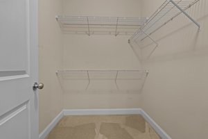 Primary Bedroom w/Walk-in Closet