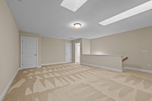 Den w/Carpet & 2 Skylights for a Bright & Airy Feel