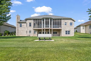 Back View