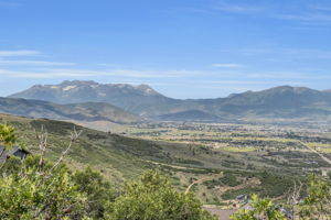  Photo 0
