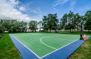 Basketball Court