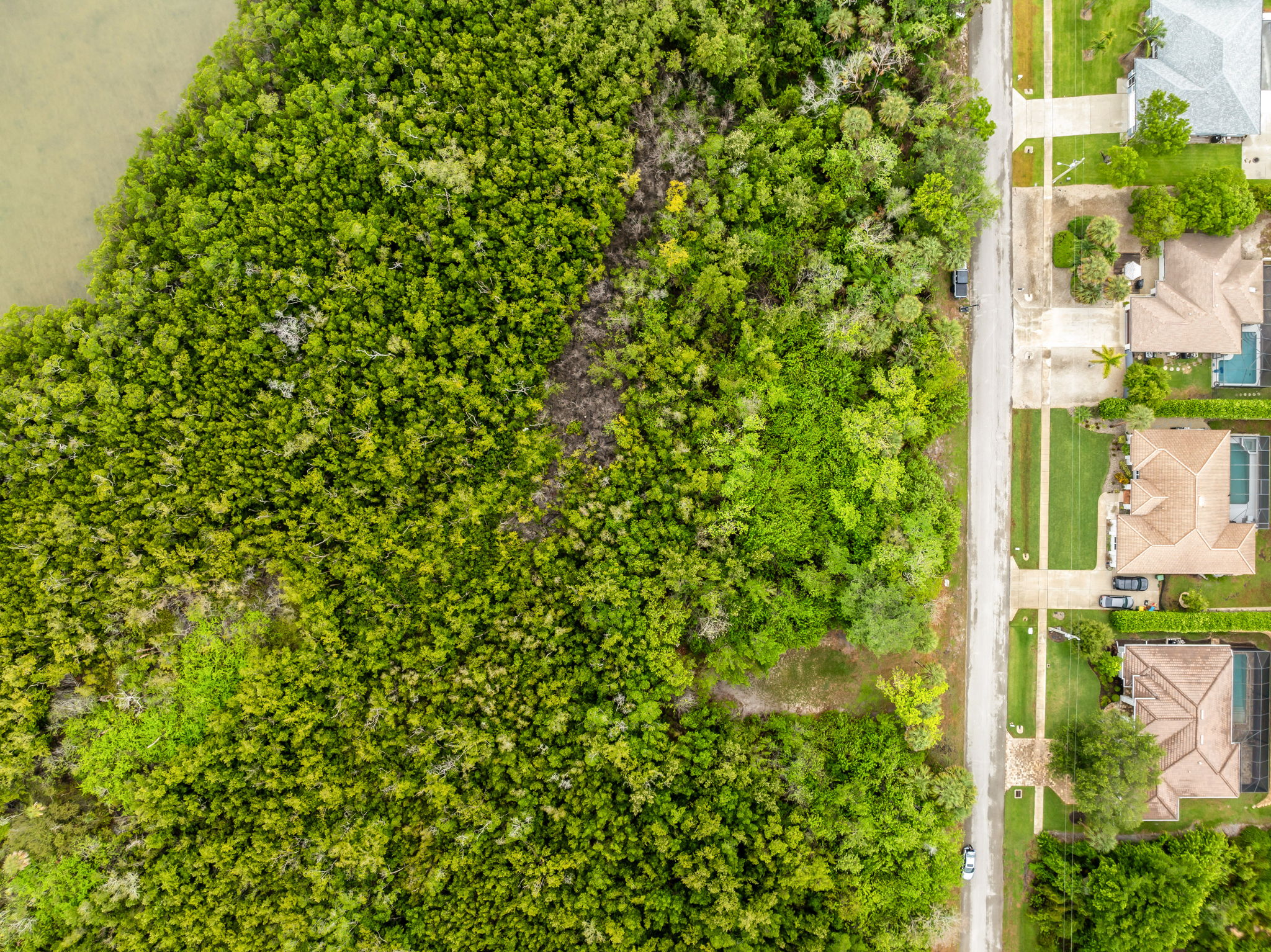 Aerial (10)