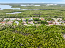 Aerial (5)