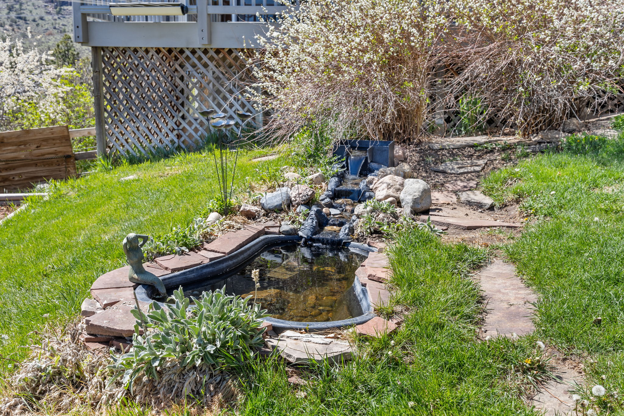  Photo 41