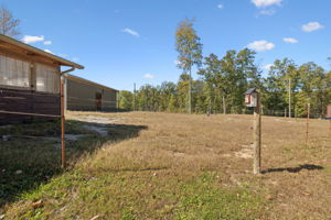  Photo 48
