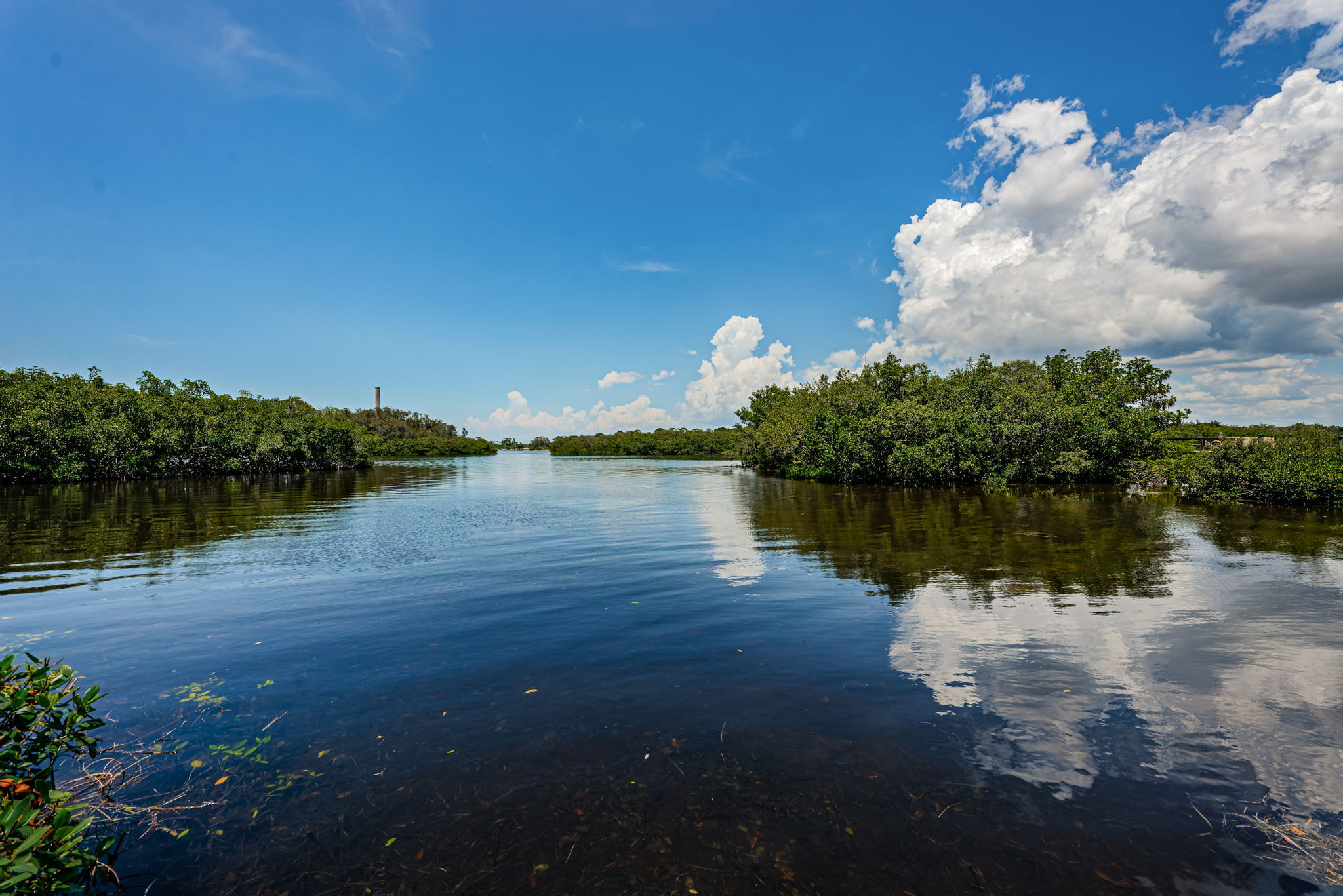 Dock Water View1