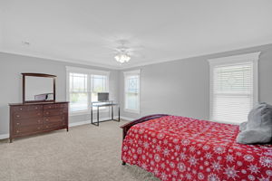 2025 Stanchion St-30