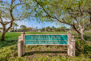 Valenicia Park1