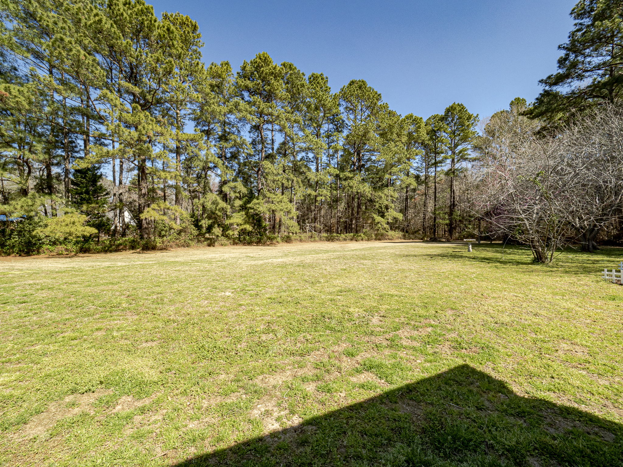 2028 Julian Ln, Clayton, NC 27520, USA Photo 31