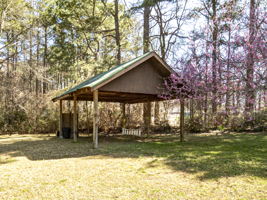 2028 Julian Ln, Clayton, NC 27520, USA Photo 32