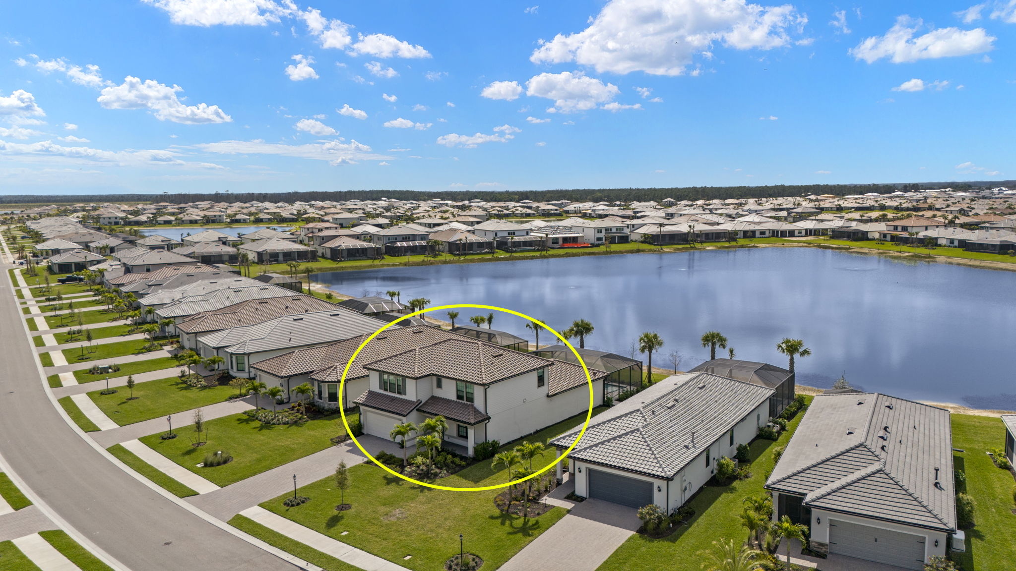 Aerial View 1 -Circles