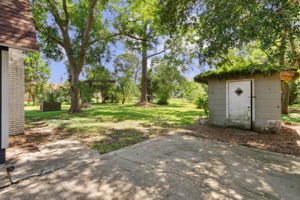 Backyard
