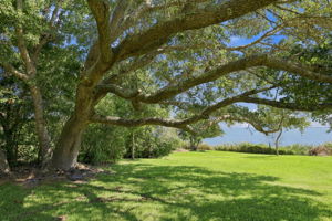 Bogue Sound Shore Community Lot