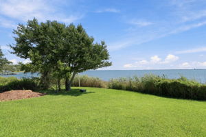 Relax and Enjoy this View!