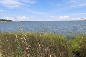 Launch Your Kayak Here for Sound Access