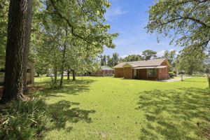 Large Shaded Backyard