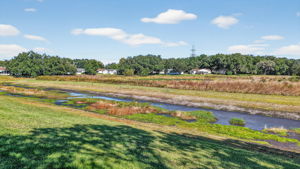 Preserve and Water Views
