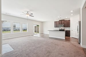 Neese Farm Dr-S3007-012.jpg