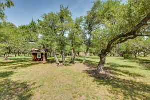 Spacious, Treed Front Yard