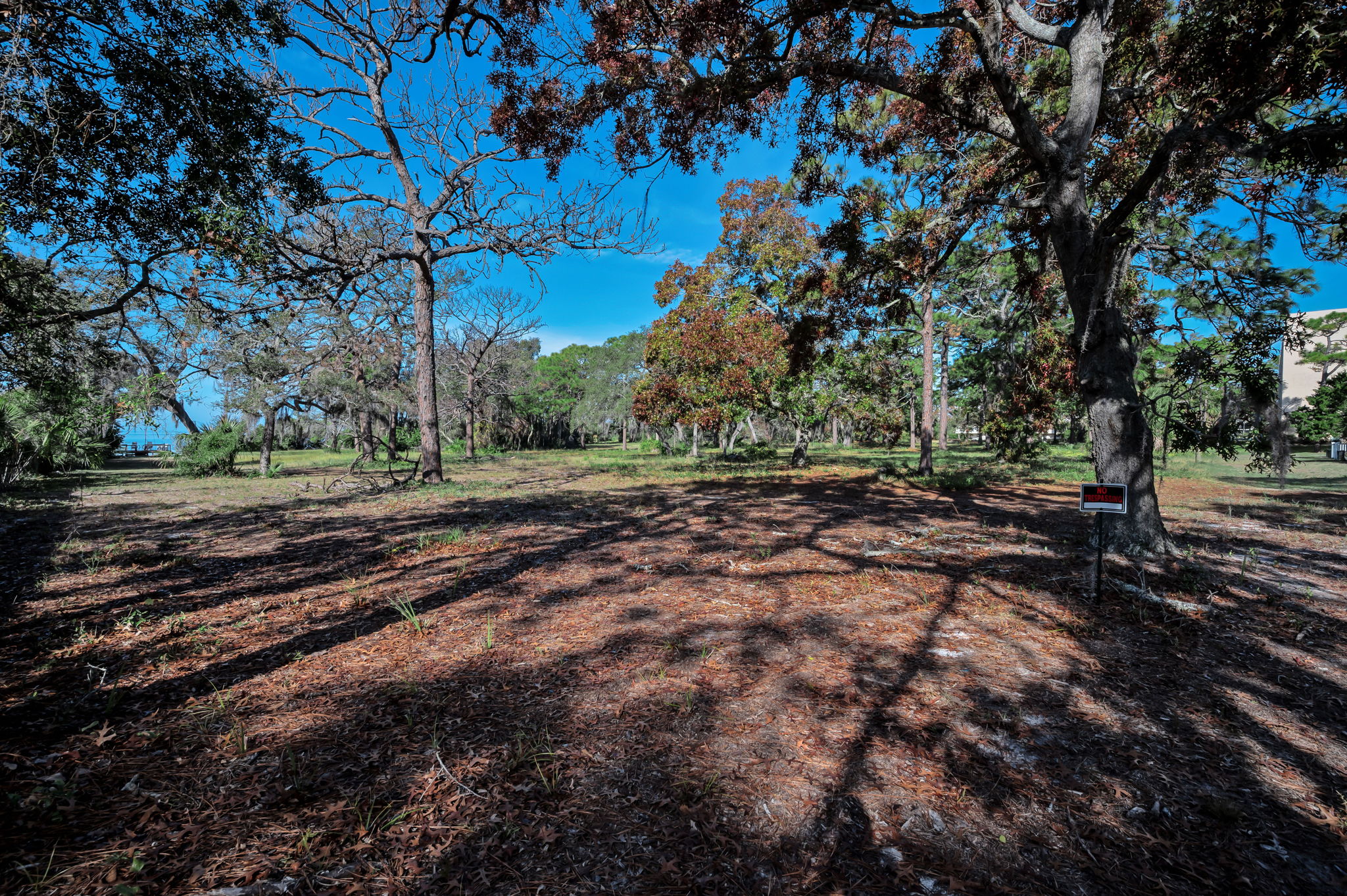 Backyard Trail11 and Dock