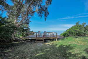 Backyard Trail5 and Dock