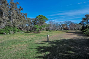 Backyard Trail10 and Dock