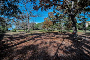 Backyard Trail11 and Dock