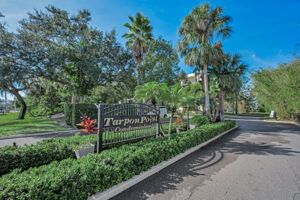Tarpon Pointe2