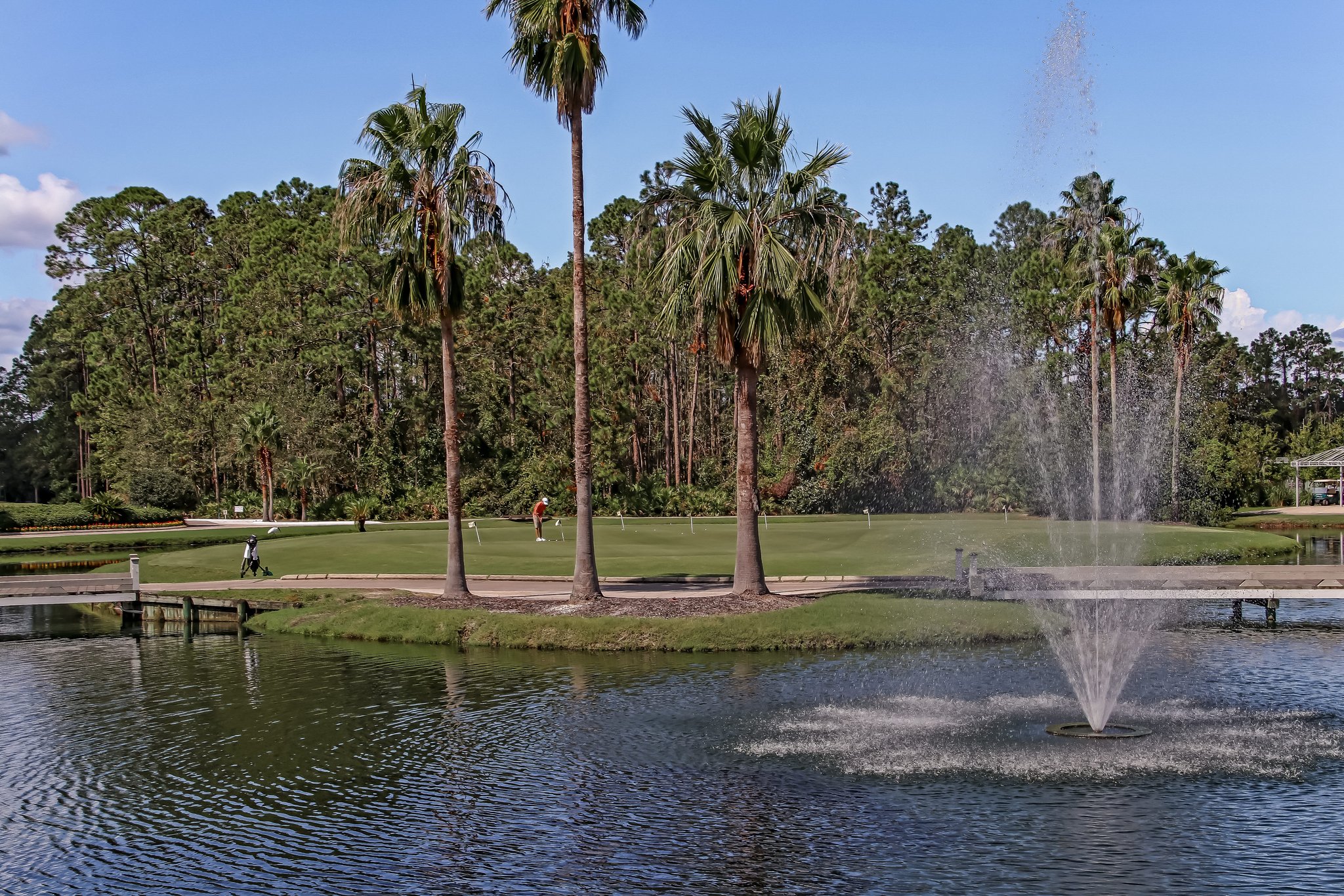 The Enclave at Eagle Harbor