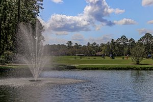 The Enclave at Eagle Harbor