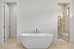 Master Bathroom 2