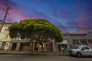 Photo 0