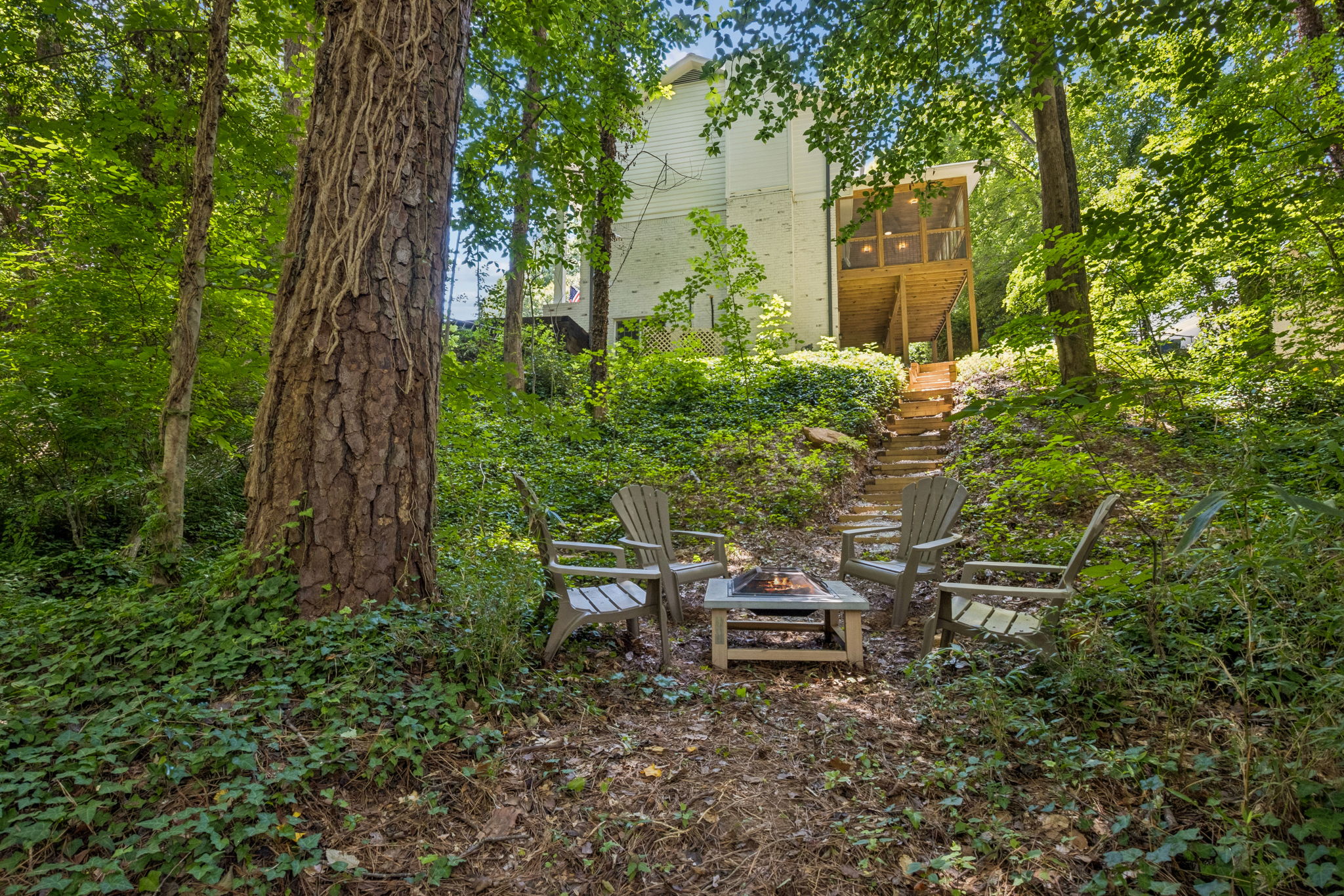 Backyard