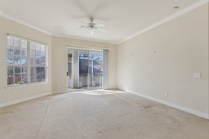 Secret Garden Ln-S2301-008.jpg