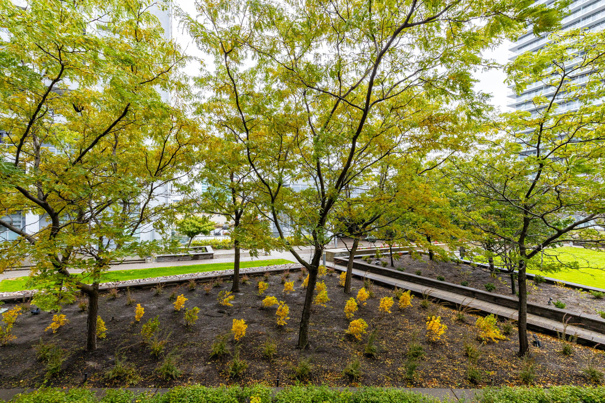 Toronto property showcase — delivered property photograph 11
