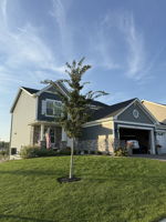  Photo 47
