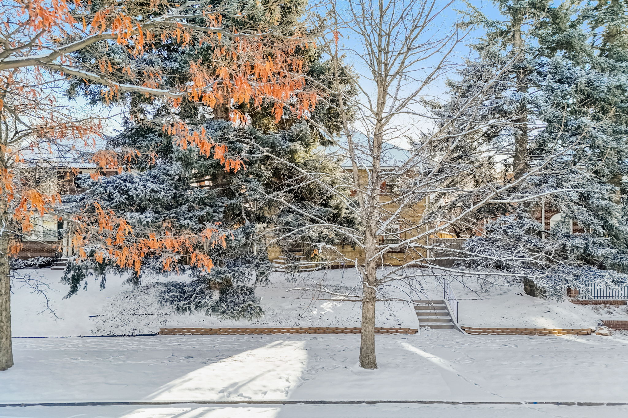  Glencoe St -064