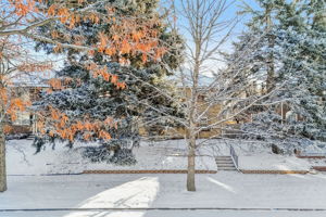  Glencoe St -064