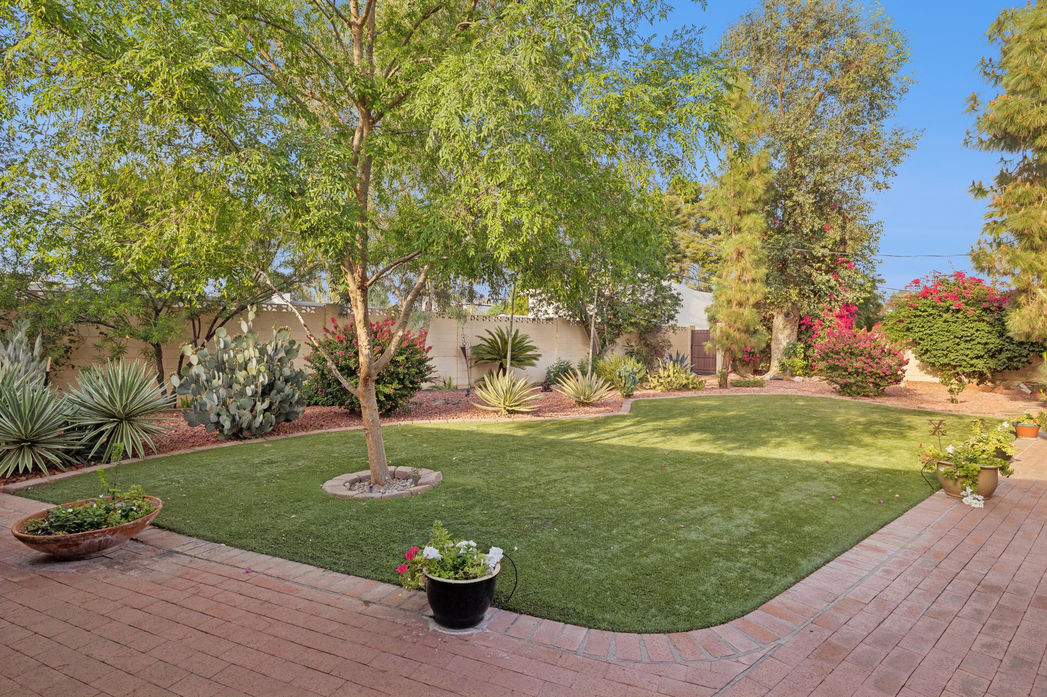 2038 E Solano Dr - 008 (2).jpg