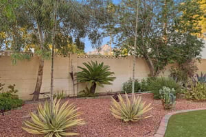 2038 E Solano Dr - 012 (2).jpg