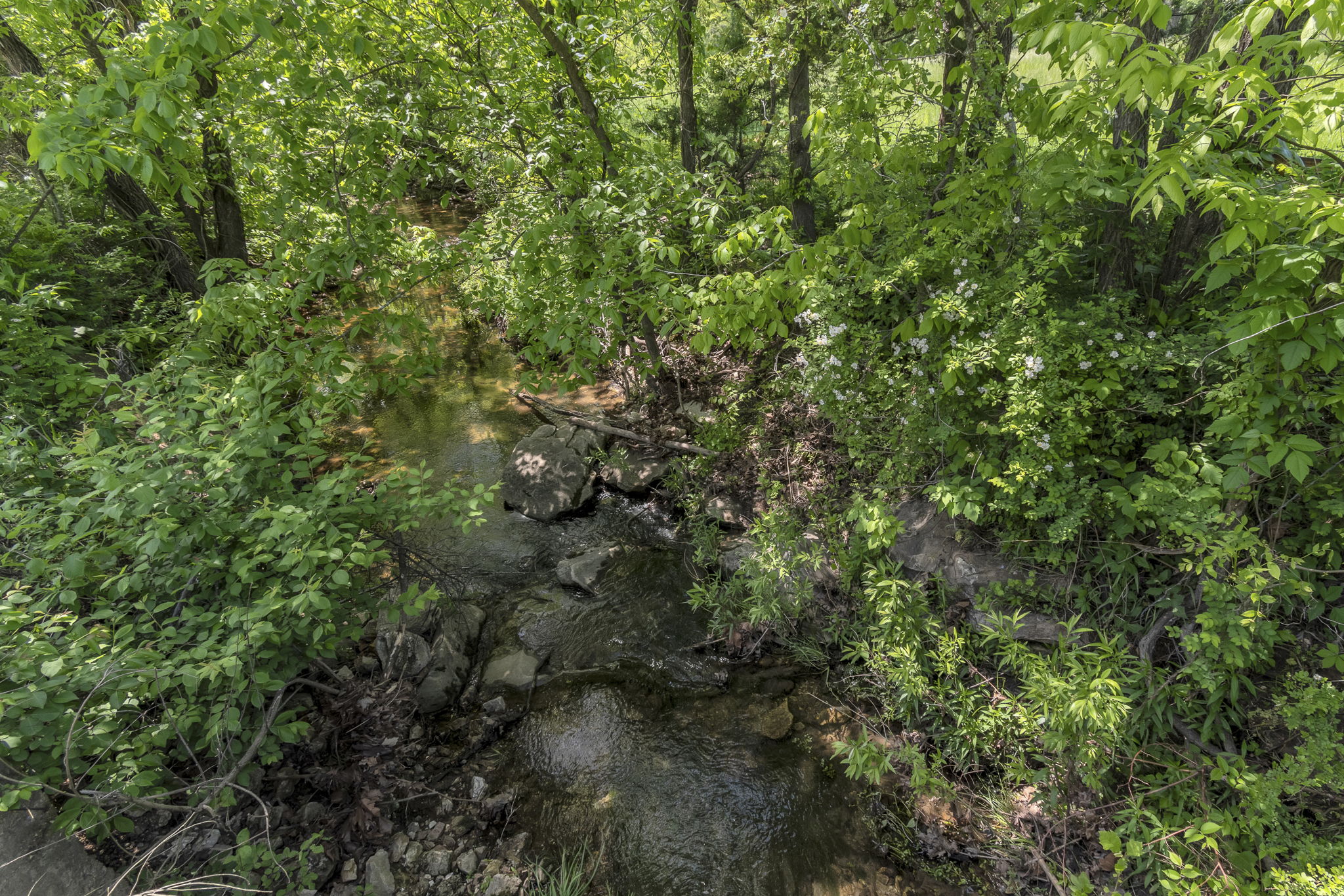 Photo 34