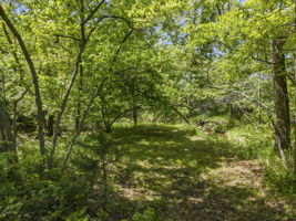  Photo 32
