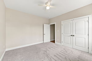  Photo 49