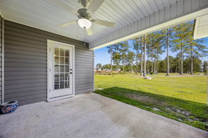 Back Patio