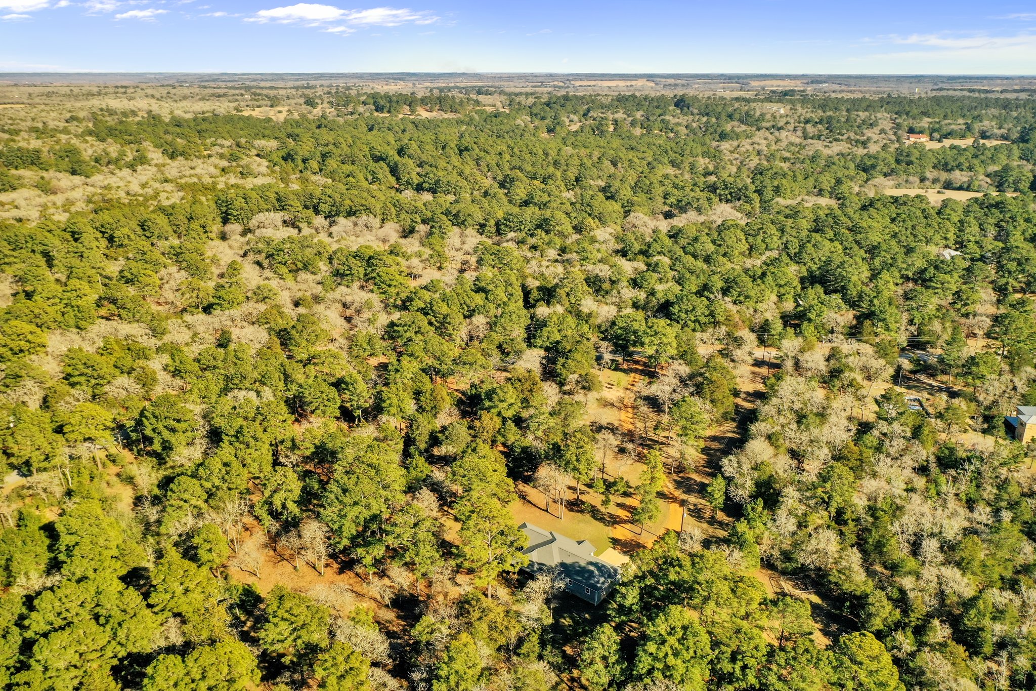 204 Campfire Way, Smithville, TX 78957, USA Photo 41