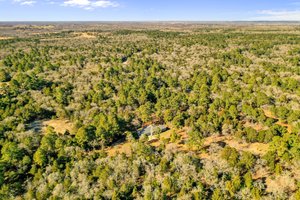 204 Campfire Way, Smithville, TX 78957, USA Photo 42
