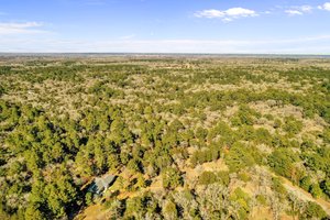 204 Campfire Way, Smithville, TX 78957, USA Photo 41